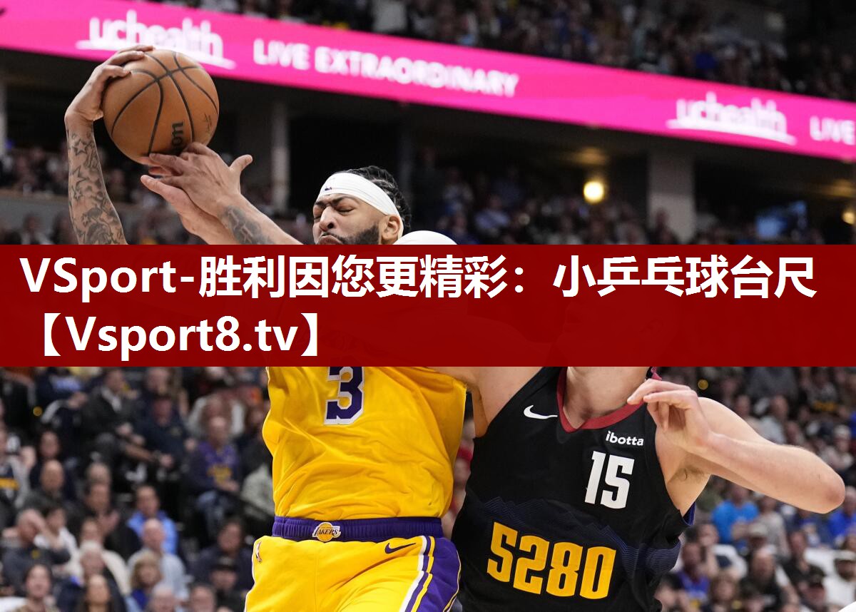 VSport-胜利因您更精彩：小乒乓球台尺