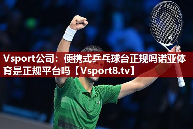 Vsport公司：便携式乒乓球台正规吗诺亚体育是正规平台吗