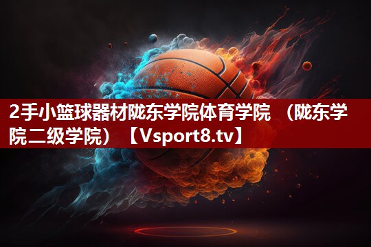 2手小篮球器材陇东学院体育学院 （陇东学院二级学院）