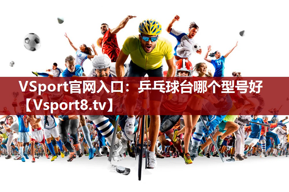 VSport官网入口：乒乓球台哪个型号好