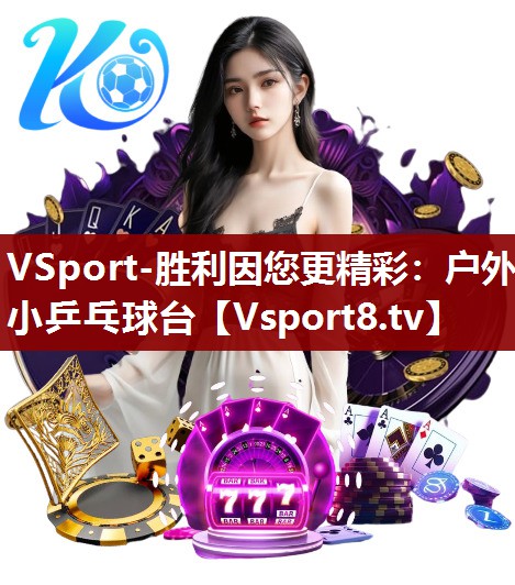 户外小乒乓球台