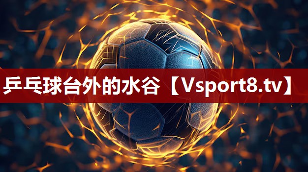 乒乓球台外的水谷